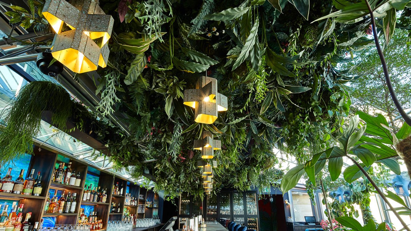 SUSHISAMBA Covent Garden plant ceiling detail