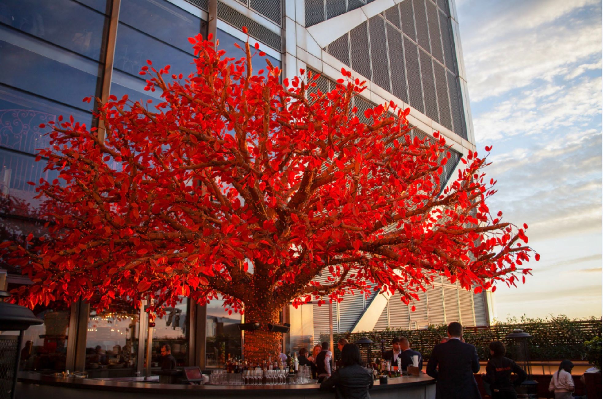 SUSHISAMBA Heron Tower tree terrace